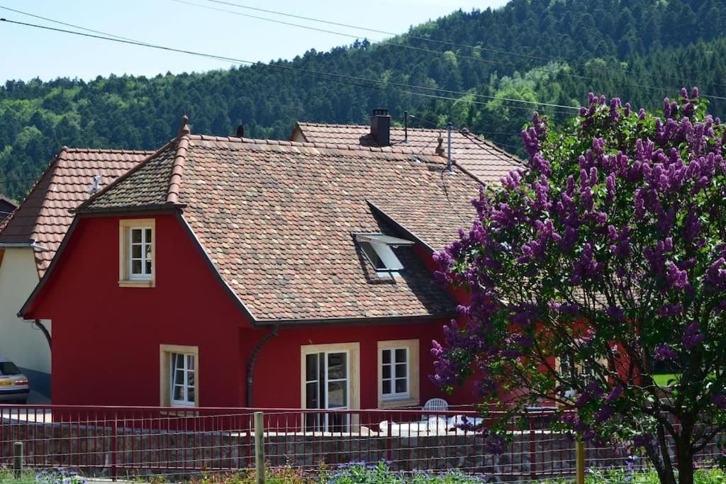 Doller Villa 4 Stars Hot Tub Mountain Ski Ballon D'Alsace Sewen Exterior photo
